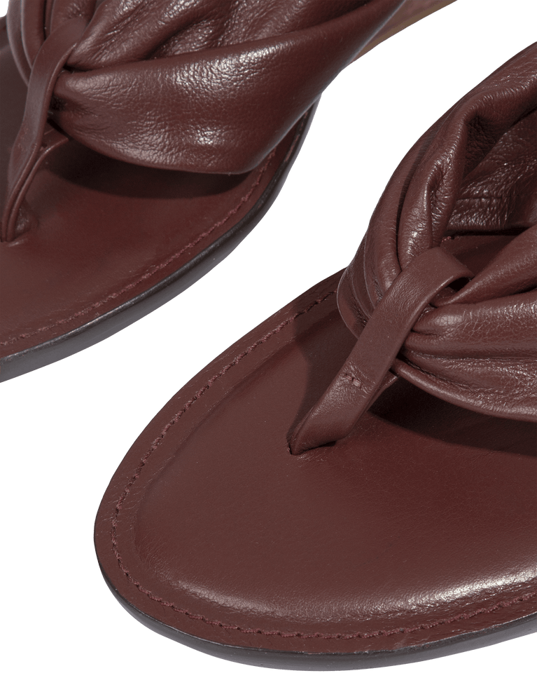Dahila Mule - Wine 6