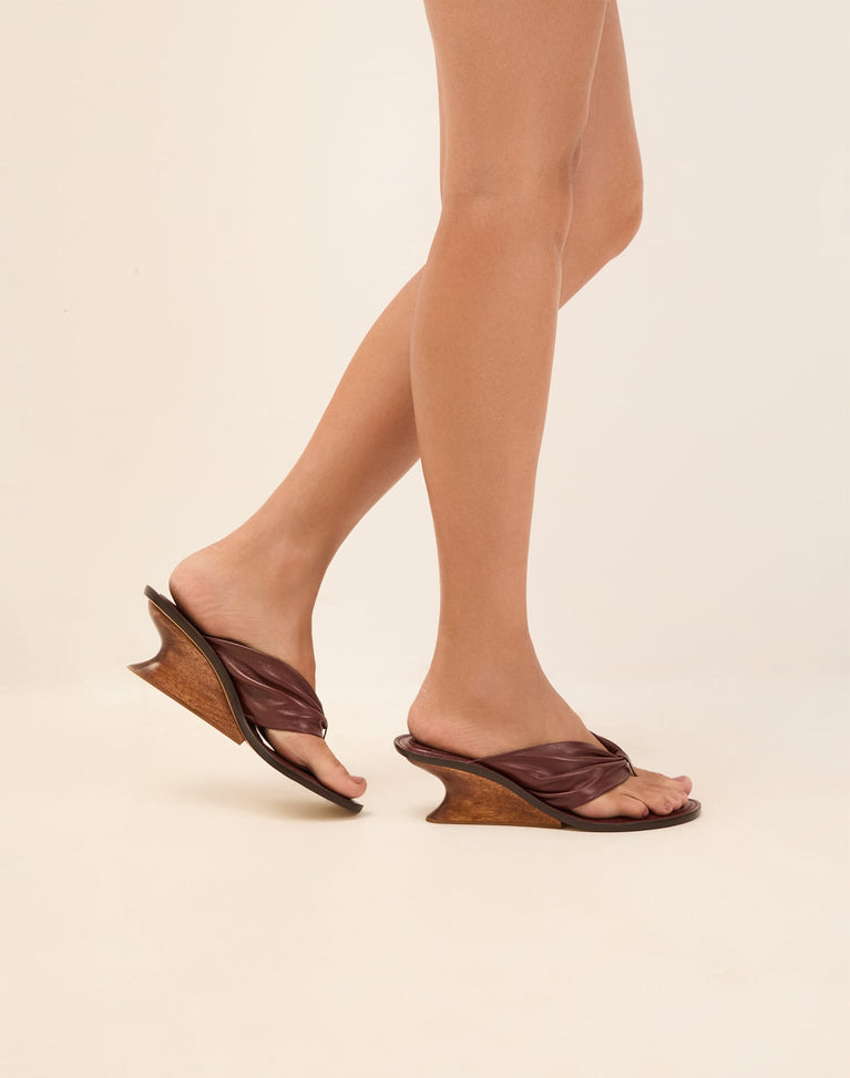 Dahila Mule - Wine 6